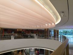 -棕榈MALL