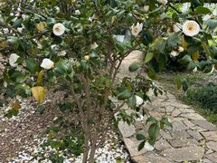 -白塘生态植物园