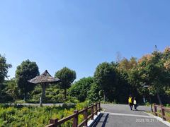 -广富林郊野公园