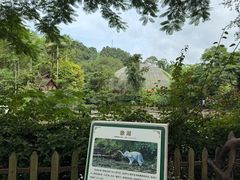 -野象谷景区