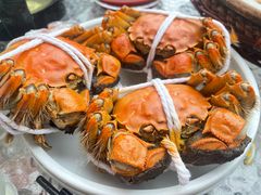 -品鲜村农家菜·阳澄湖大闸蟹(总店)