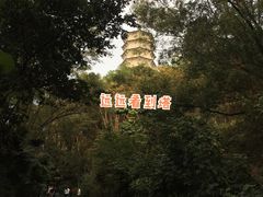 -深圳国际园林花卉博览园