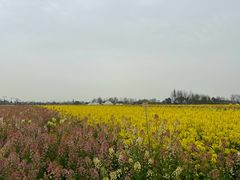 -中国天府农业博览园