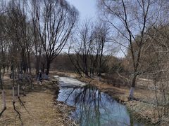 -长白岛森林公园