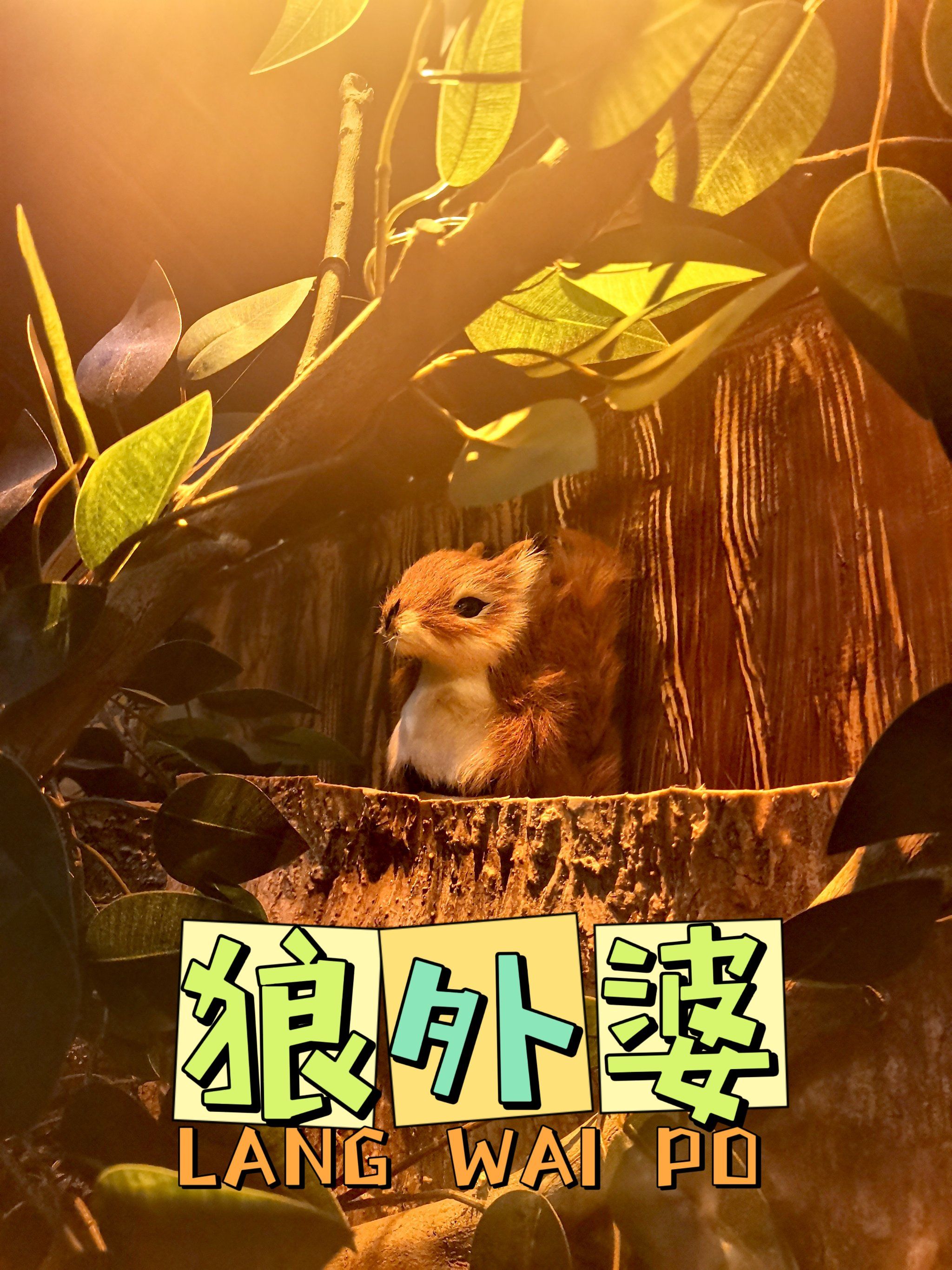 你还记得童年经典童话小红帽的故事吗?