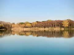 -昆山城市生态森林公园