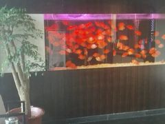 -大唐盲人按摩中心(黄山路店)