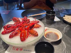 精品冰镇龙虾-红盔甲·小龙虾(人民广场店)