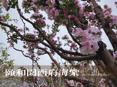 -颐和园