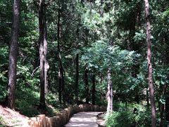 -北京西山国家森林公园