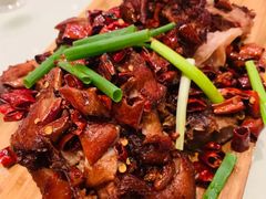 -凯鸽酒楼(大同振兴街店)