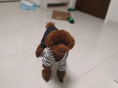 -沐沐家宠物(成寿寺店)