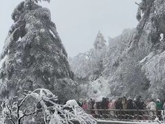 -瓦屋山景区