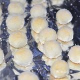 蛋白椰蓉球