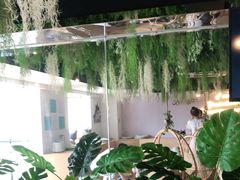 -Husky Go! 哈士奇体验馆·宠物咖啡厅狗咖