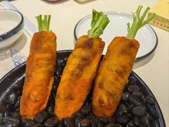 -丁老爷子苏香圆