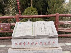 -紫鹊界梯田景区