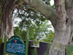 -大嶝英雄三岛战地观光园