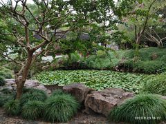 -上海醉白池公园