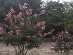 -白水寺森林公园
