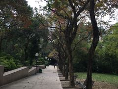 -九龙公园