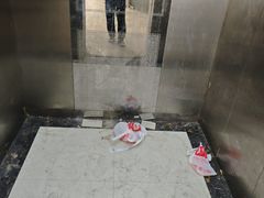 -深圳野生动物园