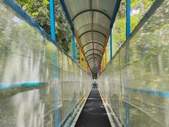 -七仙岭温泉国家森林公园