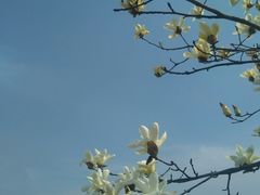 -公益图书馆(江南大学店)