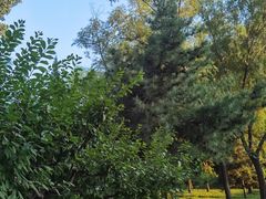 -元大都城垣遗址公园