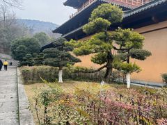 -习家池