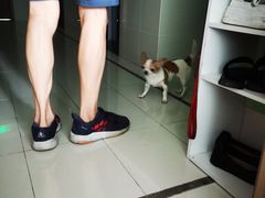 -四月宠物医院·猫专科·心脏专科·内科(转塘店)