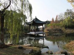 -月湖风景区