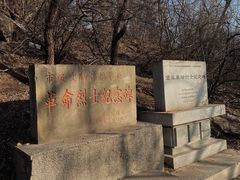 -望溪公园