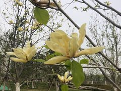 -西海子公园