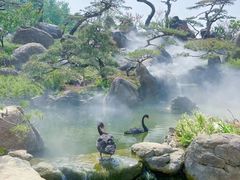 -罗红摄影艺术馆