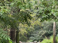 -玉渡山自然风景区