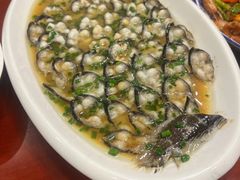 -呼吸森林·生态农庄农家乐私房菜