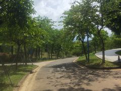 -华南师范大学(广州大学城校区)