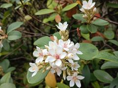-广州神农草堂中医药博物馆