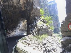 -王莽岭风景区