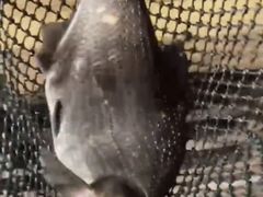 -秋月舫(阳澄湖湖滨中路店)