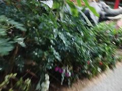 -德百温泉大观园生态餐厅(夏津店)