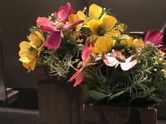 -香港城市花园酒店