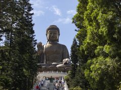 -宝莲禅寺