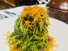 巧拌豆苗-四季民福烤鸭店(王府井东安门店)