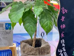-游心咖啡(青山滨江店)