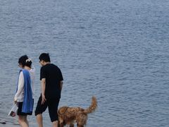 -日照世帆赛基地