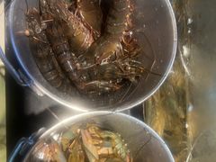 -争先鲜·蒸汽海鲜自助·鲜切牛肉