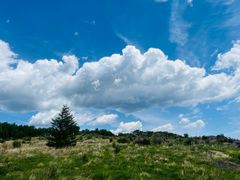 -白草畔自然风景区