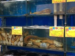 水产区-蚝专家(北滘店)